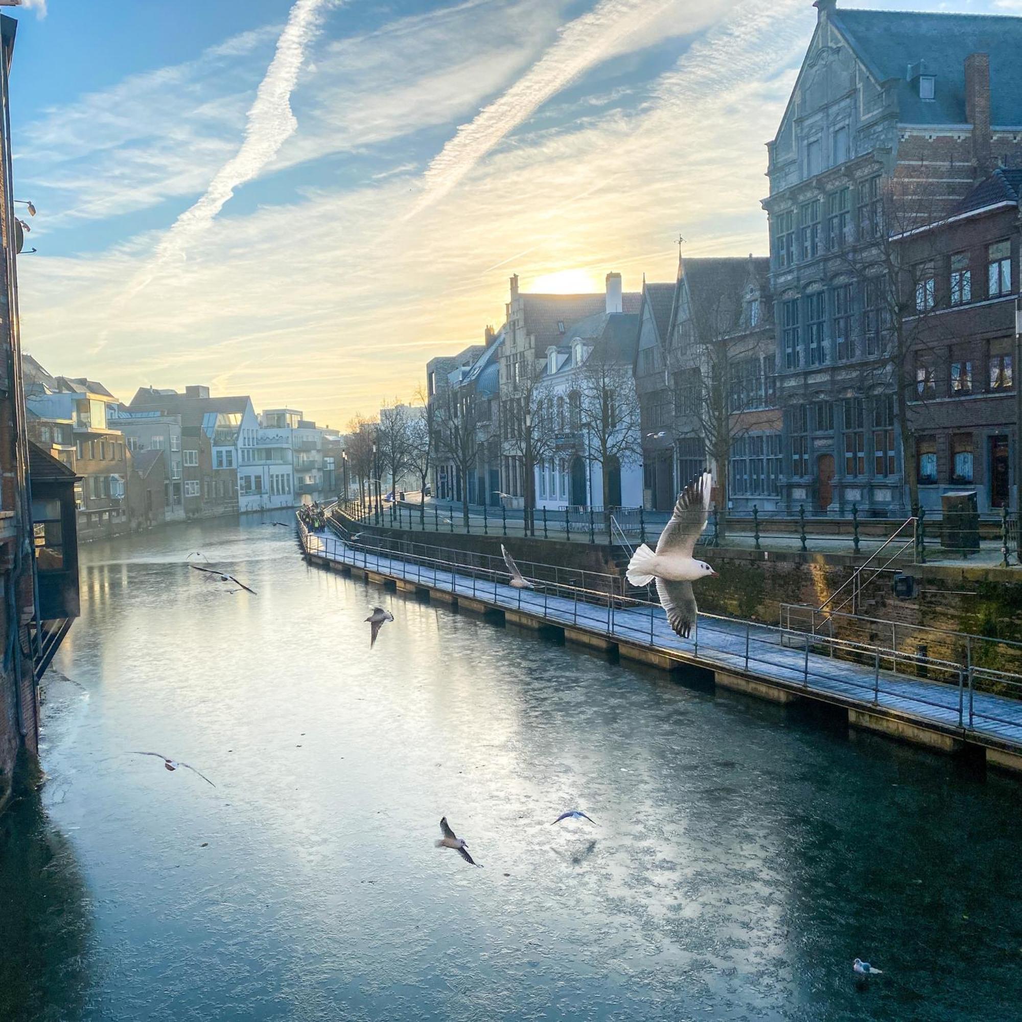 Huis Alna 2 Mechelen Eksteriør bilde